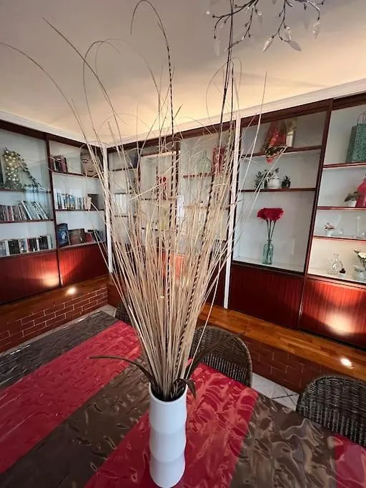 23 Le Celeste Paul Bert By B&B Saint-Etienne  France