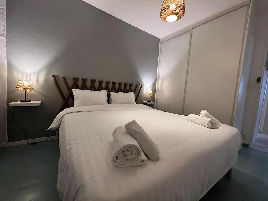 23 Le Celeste Paul Bert By B&B Saint-Etienne  Apartment