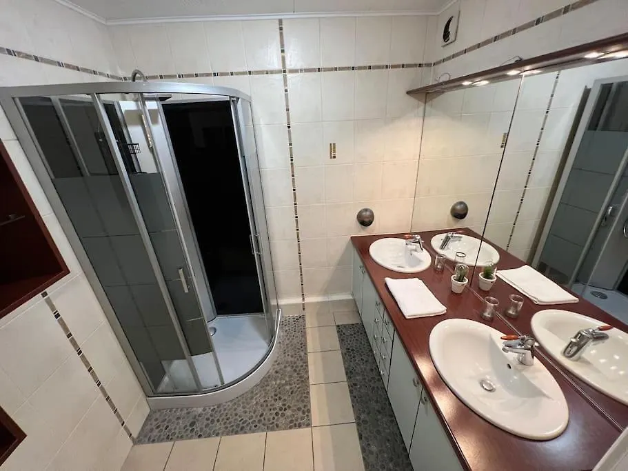 23 Le Celeste Paul Bert By B&B Saint-Etienne  Apartment